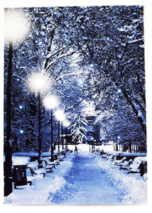 Blue Mountain Shoppes, Lighted Tabletop Canvas w/Timer - Snow Covered Path w/ Lightposts