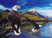 Blue Mountain Shoppes, 3D Picture - Eagle Pair