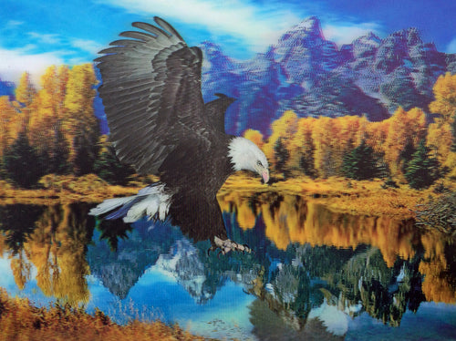 Blue Mountain Shoppes, 3D Picture - Eagle Over Lake