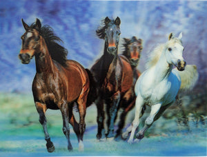 Blue Mountain Shoppes, 3D Picture - Horses