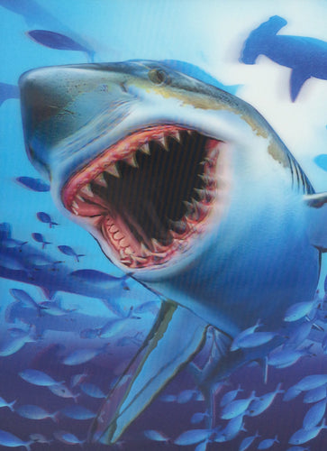 Blue Mountain Shoppes, 3D Picture - Shark