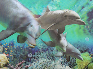 Blue Mountain Shoppes, 3D Picture - Dolphins