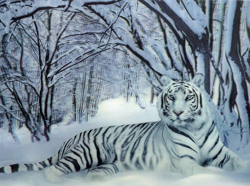 Blue Mountain Shoppes, 3D Picture - White Tiger Lounging