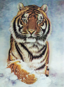Blue Mountain Shoppes, 3D Picture - Tiger