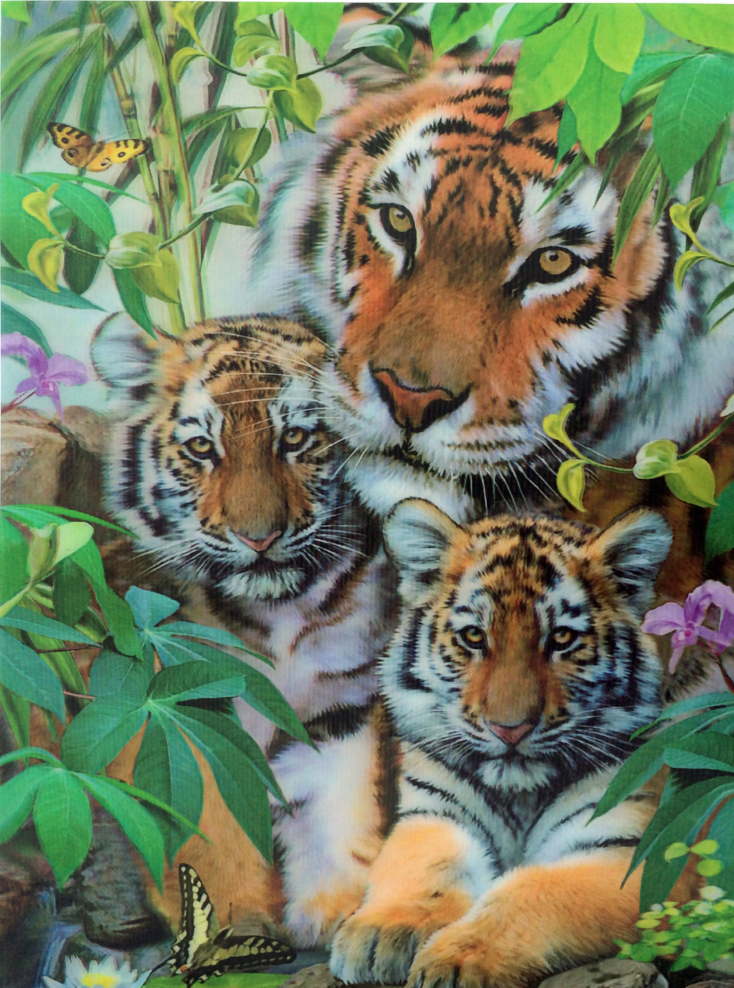 Blue Mountain Shoppes, 3D Picture - Tiger & Cubs