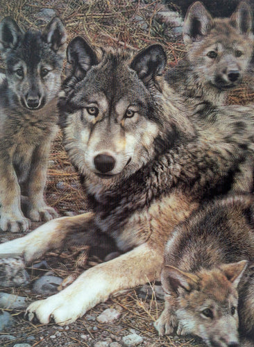 Blue Mountain Shoppes, 3D Picture - Wolf & Pups